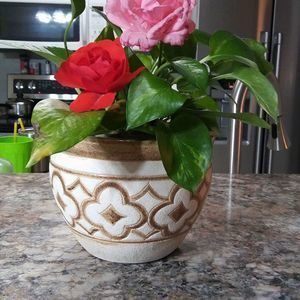 Meet your Posher, Becky